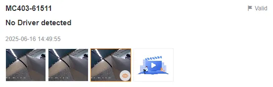 Highlighted Alert File