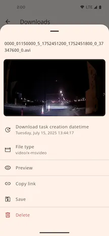 Downloaded File Details
