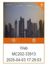 Download Media File Button