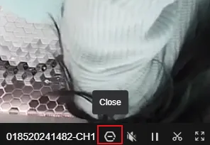 Stop Playback Button