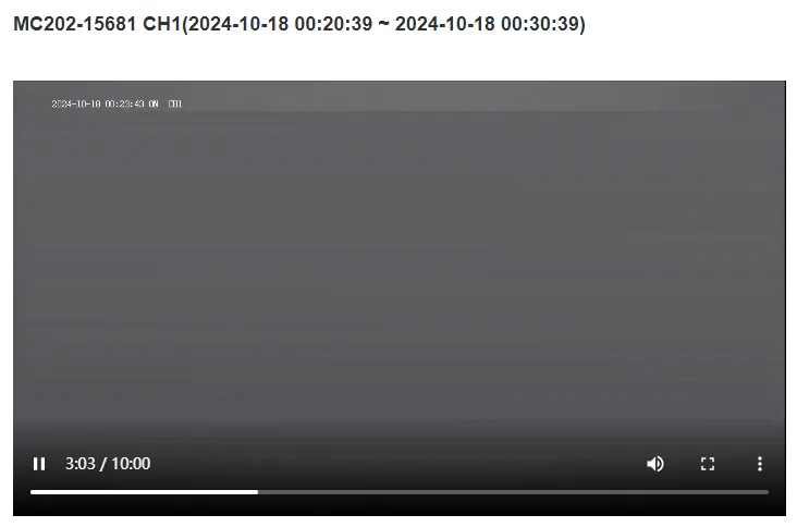 Preview Historical Video Interface