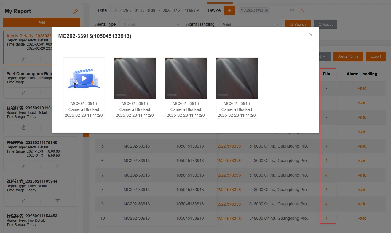 Alert Files Interface